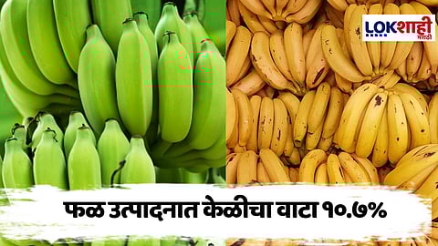GDP : केळीच्या उत्पादनातील वाढ; भारतीय अर्थव्यवस्थेला नवी दिशा