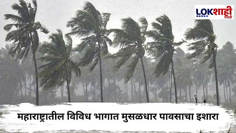 Maharashtra Rain Update : कोकणसह राज्यातील विविध भागात आज मुसळधार पावसाची शक्यता; हवामान विभागाचा 'रेड अलर्ट'