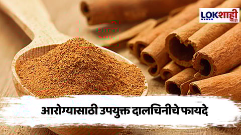 Cinnamon Benefits : दालचिनीचे आरोग्यासाठी लाभदायक फायदे