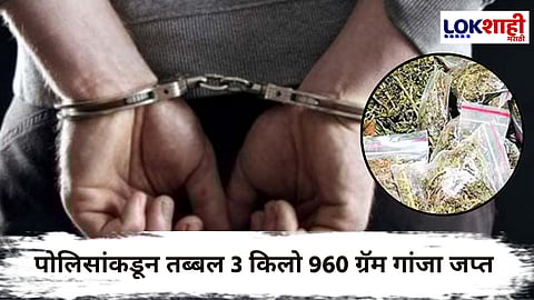 Crime News : चार किलो गांजासह मनसेचा शहर उपाध्यक्ष अटकेत; गुन्हे शाखेची कारवाई