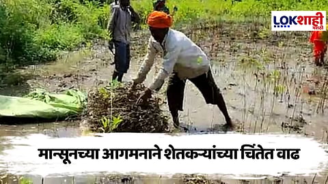 Maharashtra : राज्यभर पावसाचा जोर; यंदा वेळेच्या आधीच मान्सून धडकल्याने पिकांचे नुकसान