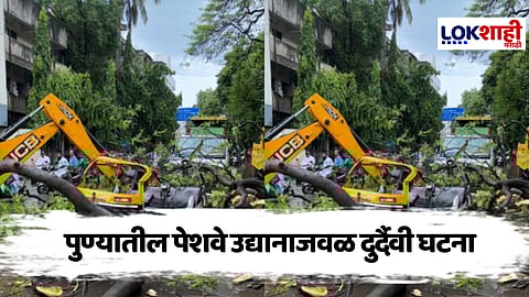 Pune : पुण्यात झाड कोसळून 76 वर्षीय वृद्ध महिलेचा मृत्यू