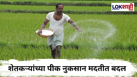Farmer's News : राज्य सरकारचा नवा निर्णय! पिकांच्या नुकसान भरपाईत कपात