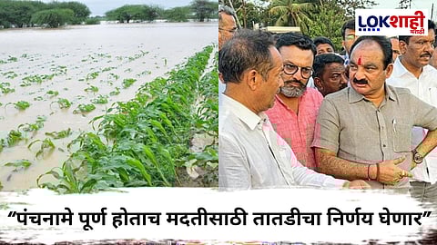Makrand Patil On Crop Damage : अवकाळी पावसामुळे शेतीचे नुकसान; मदतीसाठी मंत्री मकरंद पाटीलांचा तातडीचा निर्णय, म्हणाले...