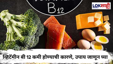 Vitamin B12 : शरीरातील व्हिटॅमीन बी 12 ची कमतरता आहे? जाणून घ्या यामागची लक्षणे आणि उपाय काय