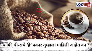Coffee Beans Types : 'हे' आहेत कॉफी बनवण्यासाठी लोकप्रिय Coffee Beans चे प्रकार