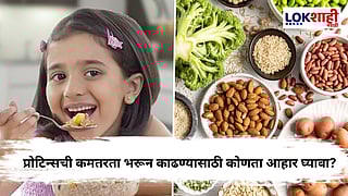 Health Tips : आपल्या शरीरासाठी कोणते पदार्थ प्रोटीनयुक्त आहेत?, जाणून घ्या...