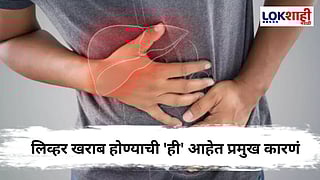 Liver Damage Causes : फक्त अल्कोहोलच नाही;