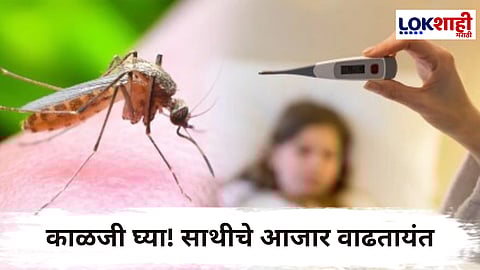 Chikungunya Dengue Patients : राज्यात चिकनगुनियाचे 741, तर डेंग्यूचे 1590 रुग्ण; आरोग्य विभागाचे दक्षतेचे आवाहन