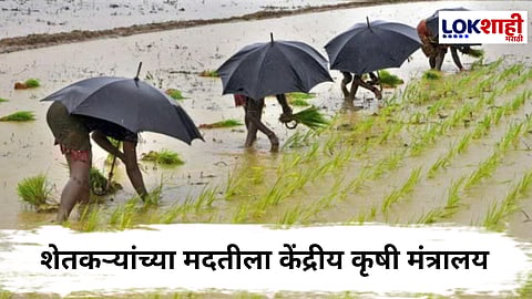 Farmer ID Holders : केंद्रीय कृषी मंत्रालयाची शेतकऱ्यांसाठी गुड न्यूज! 'ही' सरकारची सुविधा मिळणार मोफत