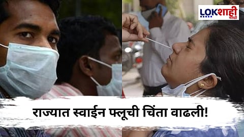 Swine Flu Cases Rise in Maharashtra : राज्यात स्वाईन फ्लूचे 204 रुग्ण
