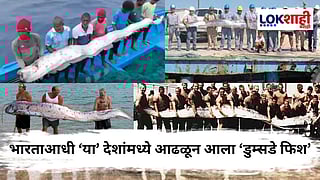 Doomsday Fish : 'हा' मासा देतो संकटांची चाहूल! जगातील अनेक देशांवर आली होती संकटं, जाणून घ्या