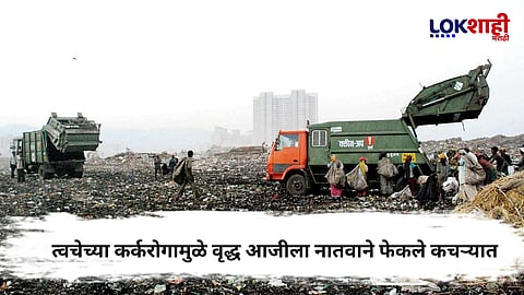 Mumbai Crime News : इथे माणूसकी संपली! कॅन्सरग्रस्त आजीने नातवाने फेकले कचऱ्यात आणि...