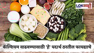 Health Tips : दूध नकोय? मग हाडांसाठी 'हे' शाकाहारी पर्याय नक्की ट्राय करा