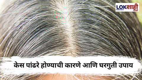 Gray Hair : कमी वयात केस पांढरे होत आहेत, जाणून घ्या त्यामागचे नेमक कारण काय?