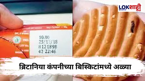 'Good day' Britannia Company : 'गुड डे' बिस्किटमध्ये जीवंत अळ्या;