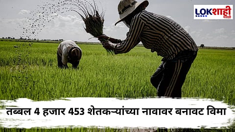 Fake Crop Insurance : नांदेडमधील 'बोगस' पीक विमा घोटाळा उघड; बीडचे 9 एजंट, उत्तर प्रदेशातील शेतकऱ्यांच्या नावानेही विमा