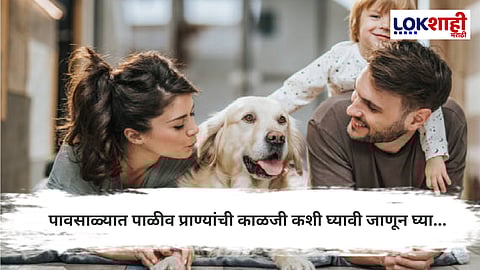 Pets Animals : तुमच्याही घरी पाळीव प्राणी असेल तर पावसाळ्यात घ्या 'अशी' काळजी