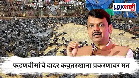 Kabutar Khana : जैन समाजाच्या 'त्या' आंदोलनावर फडणवीस म्हणाले, "धार्मिक भावना...."