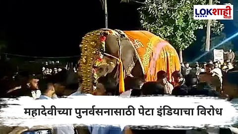 Mahadevi Elephant : "महादेवीसाठी महाराष्ट्रात तोडीच्या सुविधा नाही"