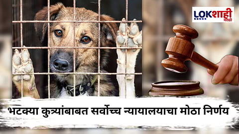 Supreme Court Order On Stray Dogs : भटक्या कुत्र्यांबाबत सर्वोच्च न्यायालयाचा महत्वाचा आदेश; नियम मोडल्यास 25 हजार ते 2 लाख दंड