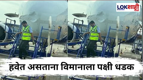 Nagpur : विमानाला पक्षी धडकल्यानं विमानाचं इमर्जन्सी लैंडिंग