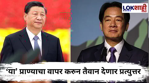 Taiwan China Tension : चीनच्या हल्ल्यापासून वाचण्यासाठी तैवानची रणनिती ठरली; ‘या’ प्राण्याचा वापर करणार