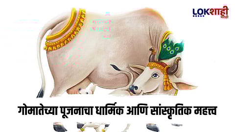 Vasubaras 2025 : वसूबारसच्या दिवशी गायची पूजा का केली जाते?