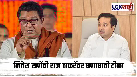 Nitesh Rane On Raj Thackeray : 'उद्धव ठाकरेंच्या नादी लागू नका'; नितेश राणेंची राज ठाकरेंवर टीका