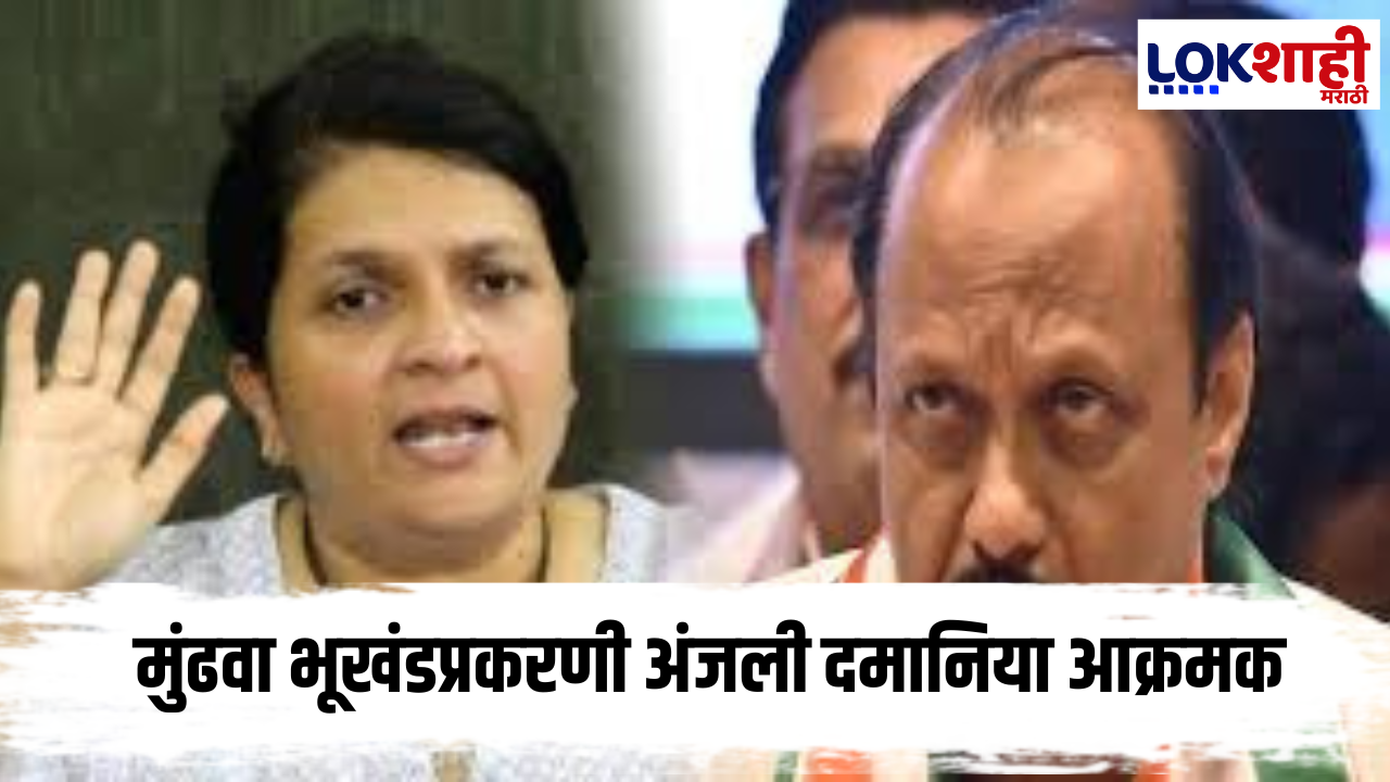Anjali Damania On Ajit Pawar