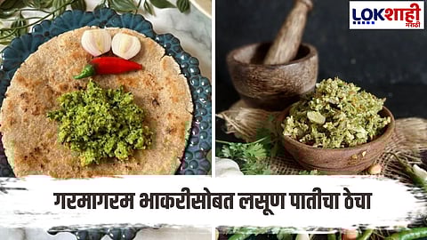 Lasnachya Paticha Thecha : गरमागरम भाकरीसोबत लसूण पतीचा ठेचा; रेसिपी जाणून घ्या...