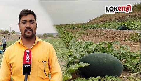 कलिंगडाच्या शेतीतून संगमनेरचा युवा शेतकरी बनला ‘लखपती’