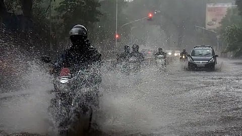 राज्यात पाऊस पुन्हा सक्रीय; 'या' जिल्ह्यांना यलो अलर्ट जारी