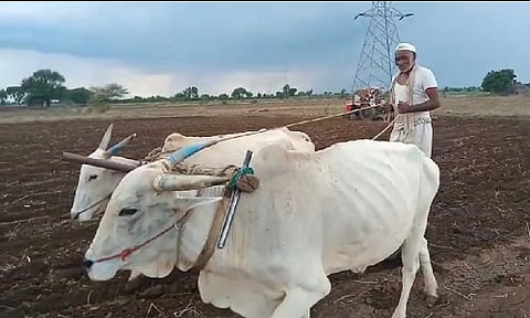 शेतकऱ्यांनी पेरणीची घाई करू नये; कृषी अधिकारी सिरसाठ यांचे शेतकऱ्यांना आवाहन