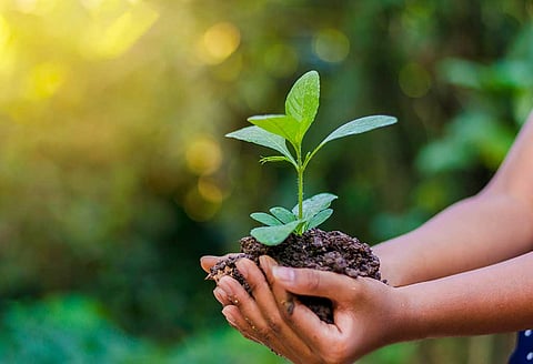 World Environment Day|Only One Earth