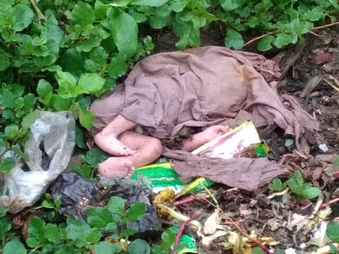 मेंडकी येथे सापडले नवजात बालीकेचे अर्भक,कचऱ्यात आढळले अर्भक