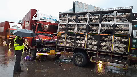 पुणे-मुंबई द्रुतगती मार्गावर अपघात, १०० कोंबड्या दगावल्या