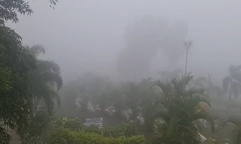 पावसाळ्याची सुरवात झाल्याने तोरणमाळचे वातावरण अतिशय अल्हाददायक