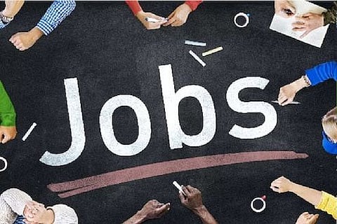 Government Job | fake sports certificate