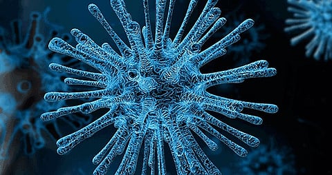 Maharashtra Corona | राज्यात ३ हजार ७४१ नवीन कोरोनाबाधित