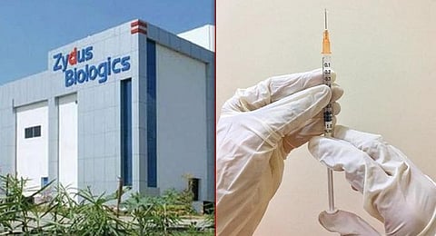 Zydus Cadila | ऑगस्ट महिन्यापासून होणार झायडस कॅडिला लसीचं उत्पादन
