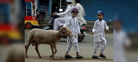 बेळगावमध्ये बकरी ईद सणासाठी नियमावली जाहीर