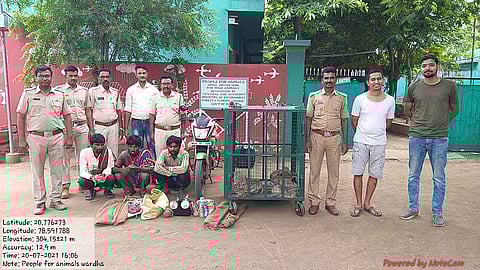 वर्ध्यात वन्यप्राण्यांची शिकार