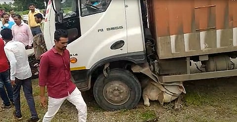 भरधाव ट्रकची बैलगाडीला धडक; सहा शेतकरी गंभीर जखमी