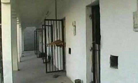 कैद्यांना मिळतोय पॅरोलवरील रजांचा बोनस