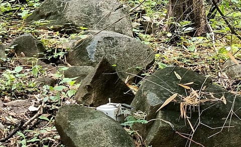 नक्षल सप्ताहातच गडचिरोली पोलिसांची मोठी कारवाई; प्रेशर कुकर बॉम्ब केला नष्ट