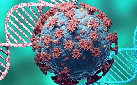 राज्यात चोवीस तासात ५ हजार ४२४ रुग्ण कोरोनामुक्त; रिकव्हरी रेट ९६.८७ टक्के