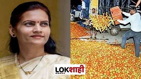 ‘लोकशाही’च्या पाठपुराव्याला यश; टोमॅटो मालाच्या नुकसानीत केंद्र सरकार उचलणार ५० टक्के वाटा