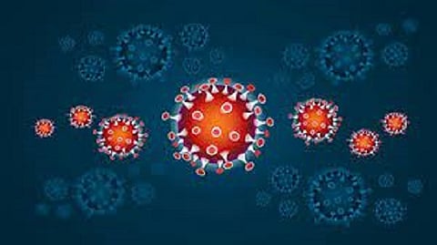 रत्नागिरीच्या मनोरुणालयात २० रुग्ण ‘कोरोना पॉझिटिव्ह’