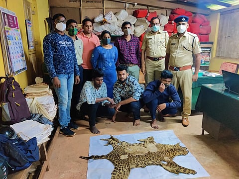 बिबट्याच्या कातडीची तस्करी करणारे तिघं वन विभागाच्या ताब्यात